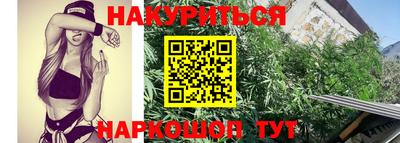 молекула духа Краснодар