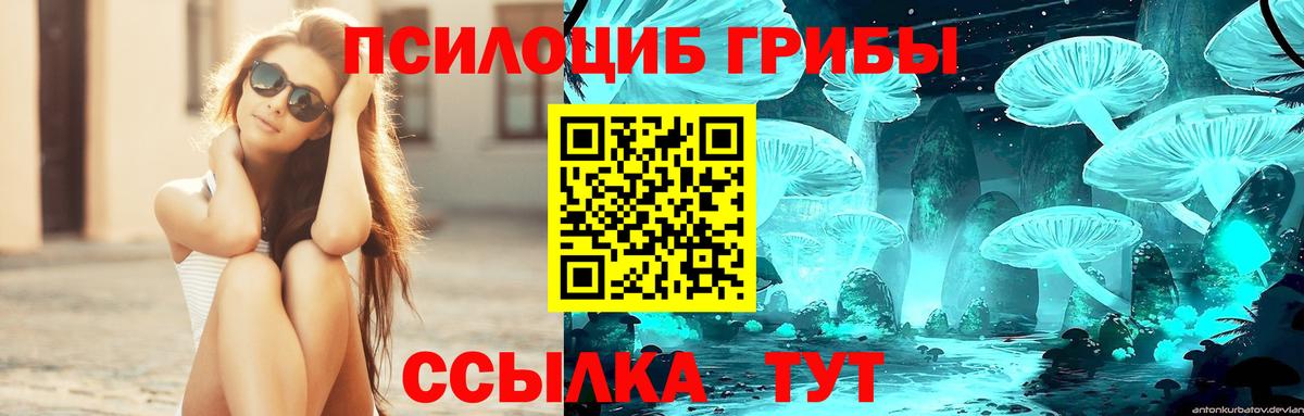 Псилоцибиновые грибы MAGIC MUSHROOMS Шелехов